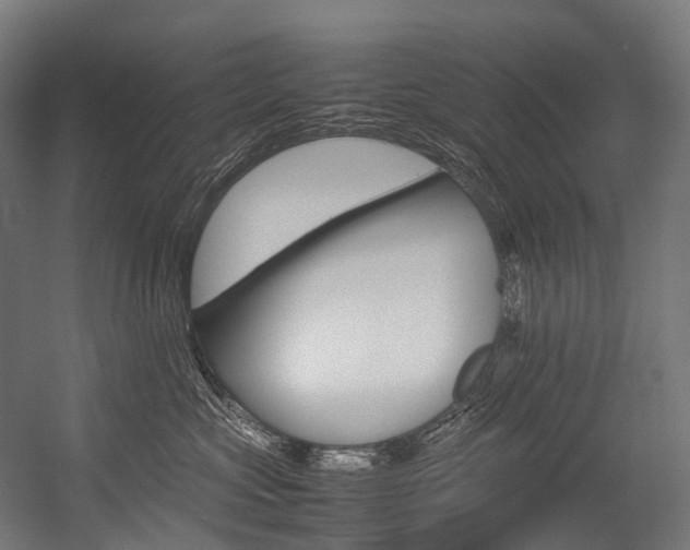 X0000054430573200507290955