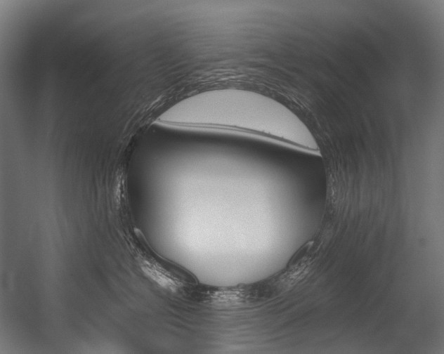 X0000054430574200507290955