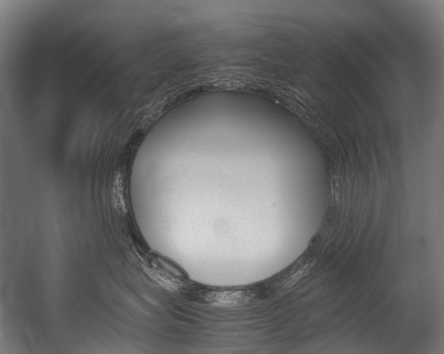 X0000054430575200507290955