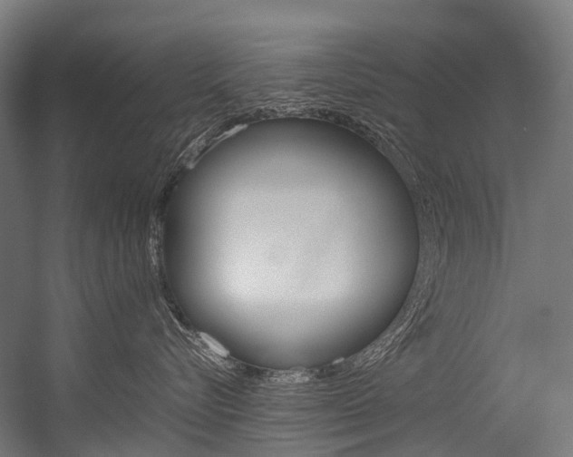 X0000054430576200507290955