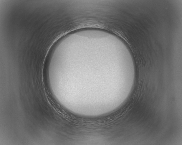 X0000054430579200507290954