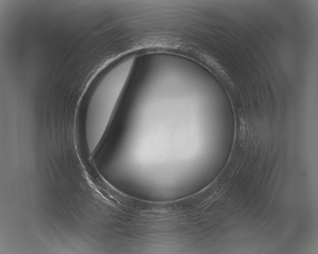 X0000054430580200507290954