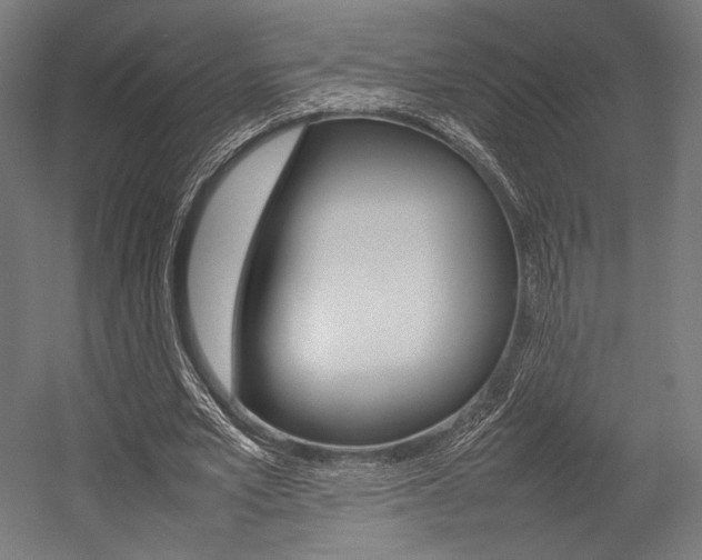 X0000054430581200507290954