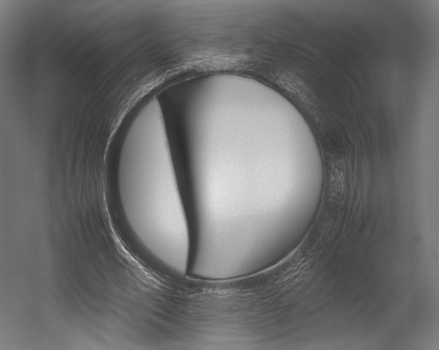 X0000054430582200507290954