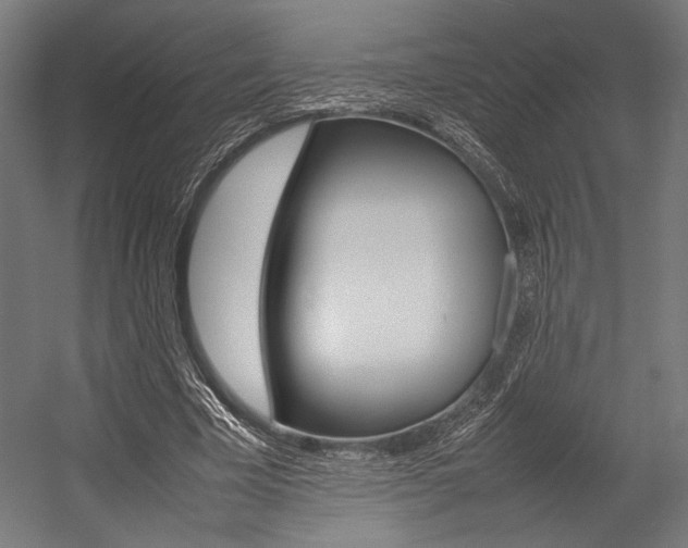 X0000054430585200507290954