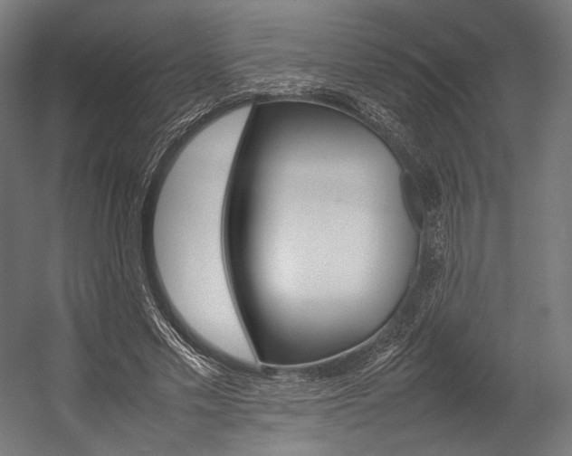 X0000054430589200507290954