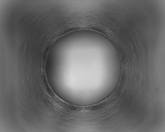 X0000054430593200507290954