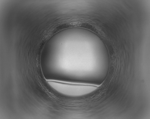 X0000054430597200507290954