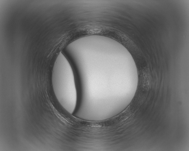 X0000054430598200507290954