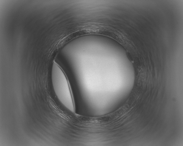 X0000054430600200507290954