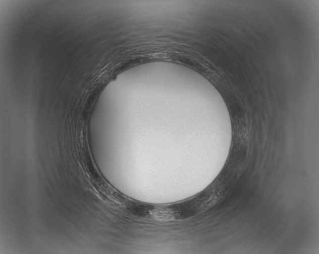 X0000054430603200507290954