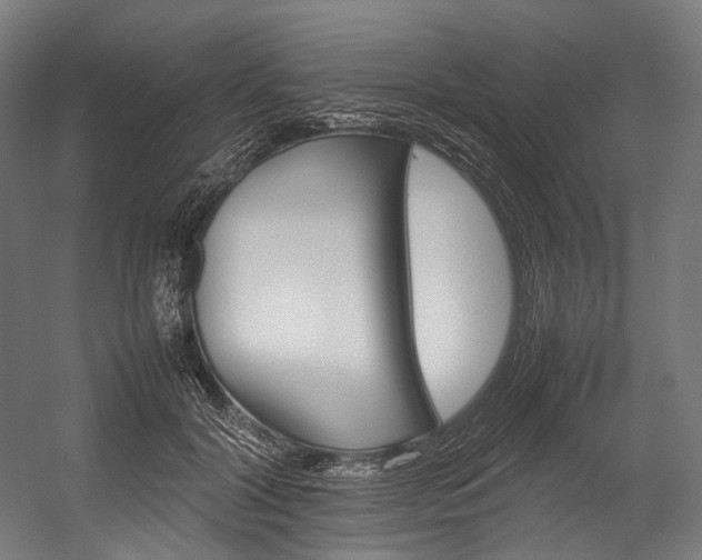 X0000054430604200507290954