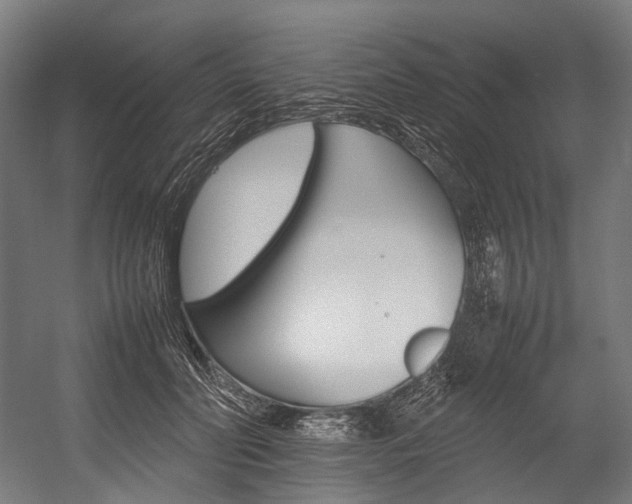 X0000054430606200507290954