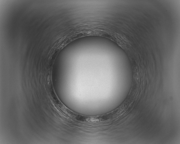 X0000054430607200507290954