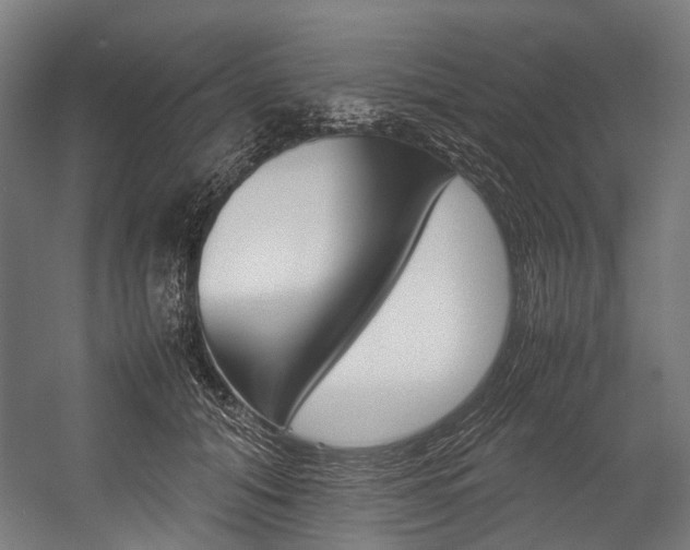 X0000054430608200507290954