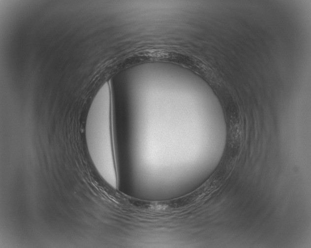 X0000054430609200507290954