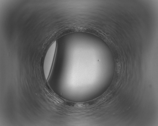 X0000054430613200507290954