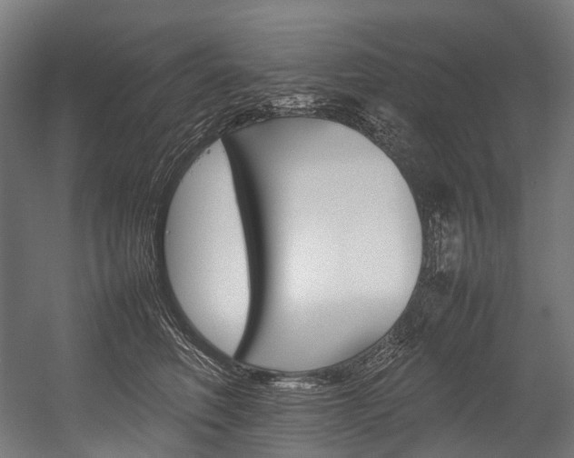 X0000054430614200507290954