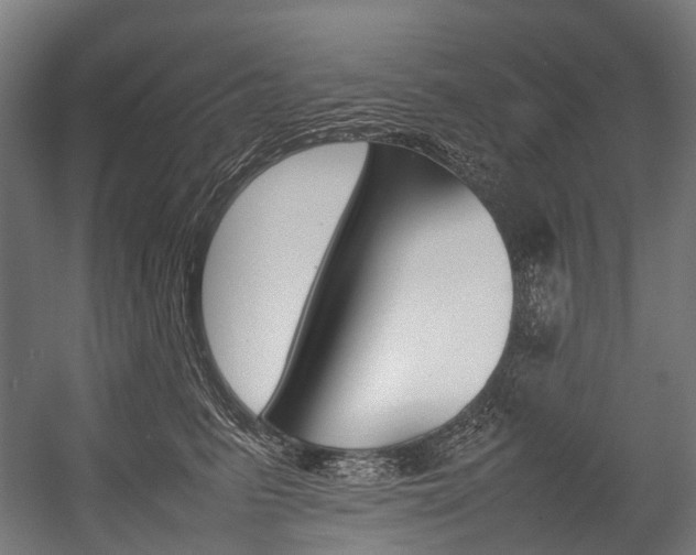 X0000054430615200507290953