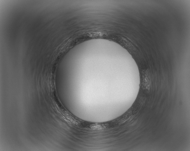 X0000054430616200507290953