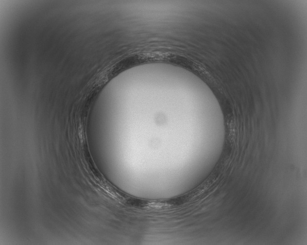 X0000054430617200507290953