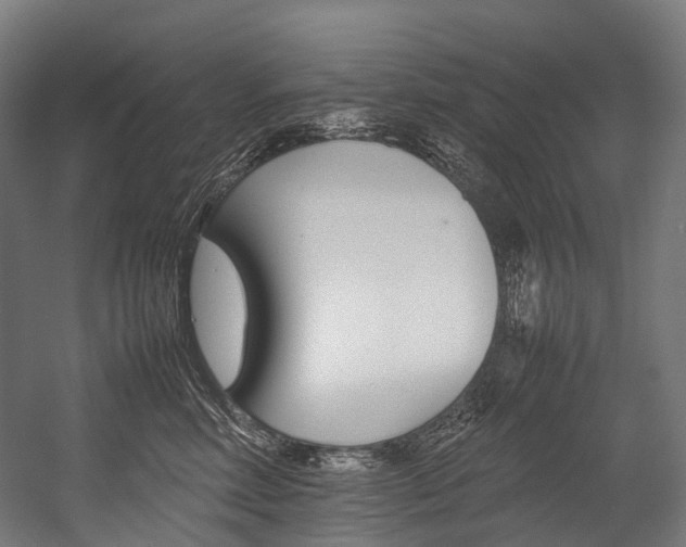 X0000054430618200507290953