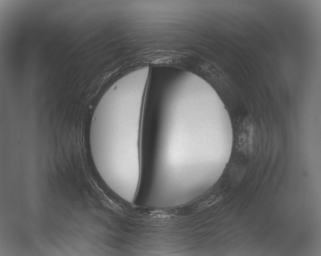 X0000054430620200507290953