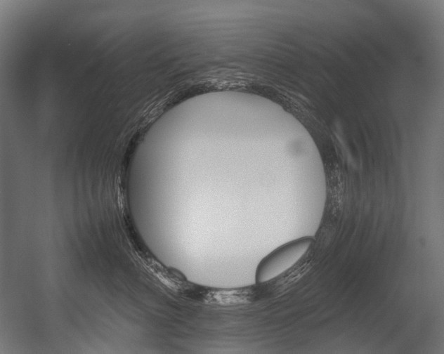 X0000054430622200507290953