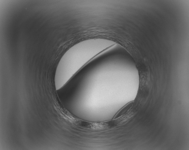 X0000054430623200507290953