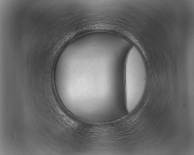 X0000054430625200507290953