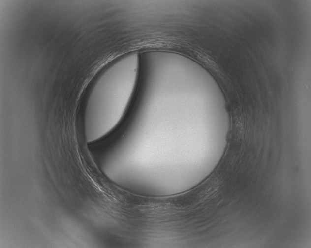 X0000054430626200507290953