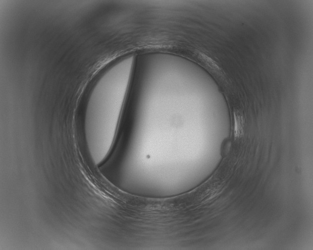X0000054430627200507290953
