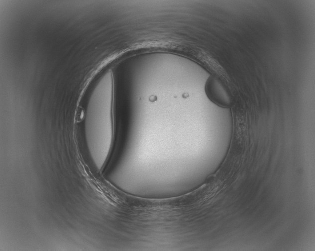 X0000054430628200507290953