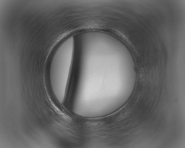 X0000054430629200507290953