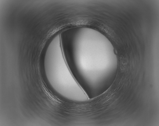 X0000054430631200507290953