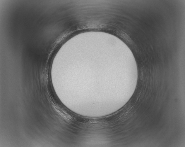 X0000054430632200507290953