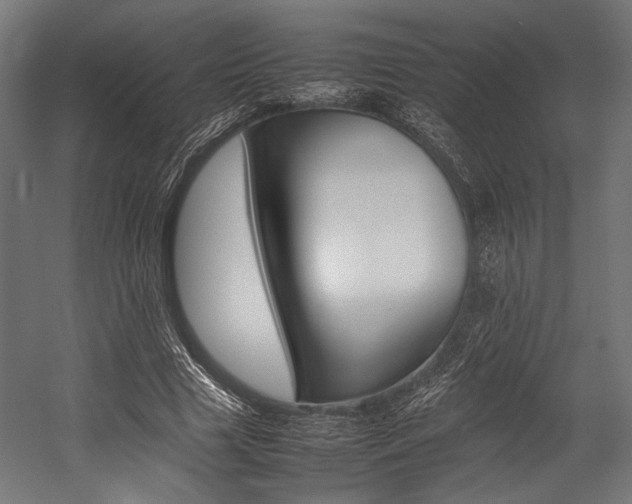 X0000054430633200507290953