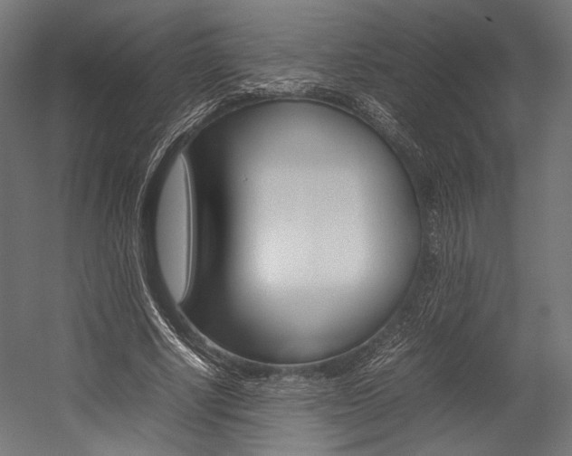 X0000054430634200507290953