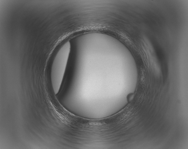 X0000054430636200507290953