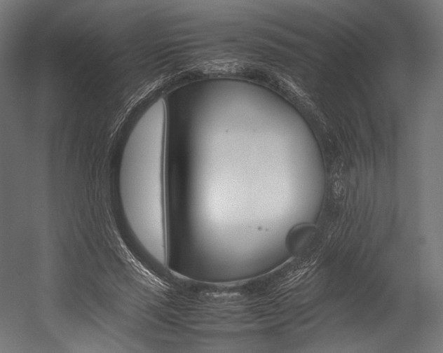 X0000054430637200507290953