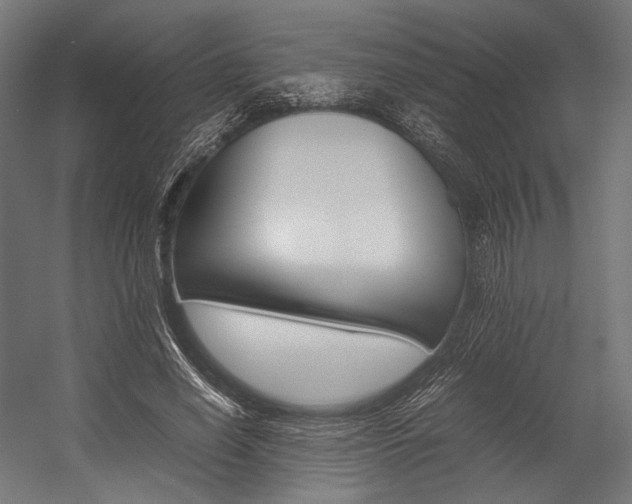 X0000054430638200507290953
