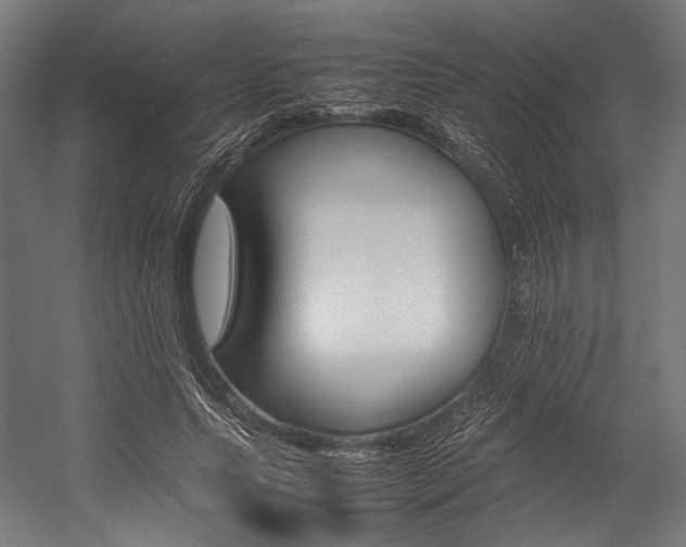 X0000054430639200507290953