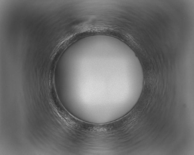 X0000054430640200507290953
