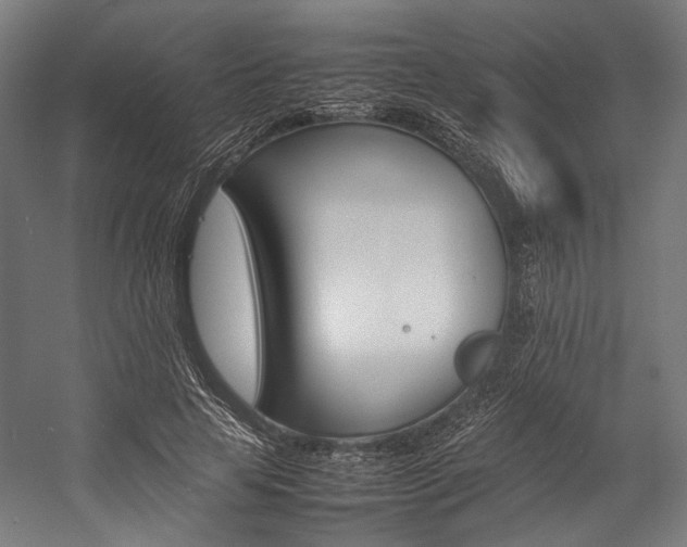 X0000054430641200507290953
