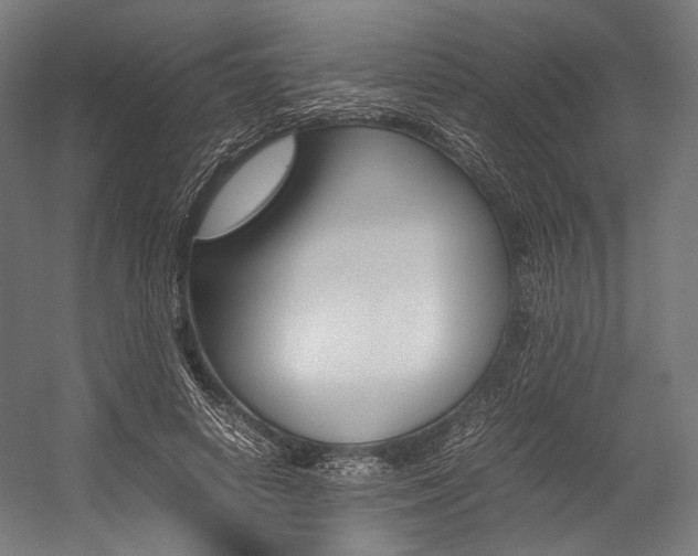 X0000054430642200507290953