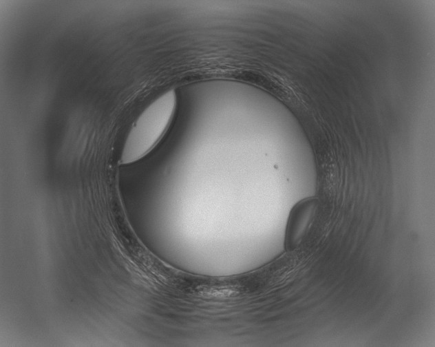 X0000054430643200507290953