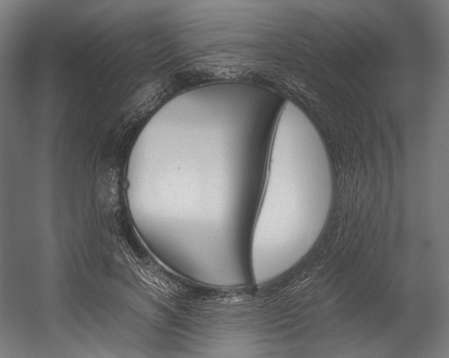 X0000054430646200507290953