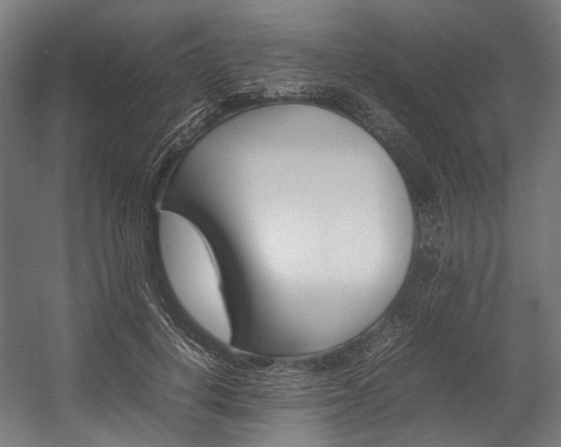 X0000054430648200507290953