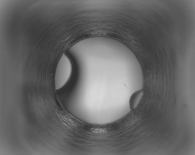 X0000054430649200507290953