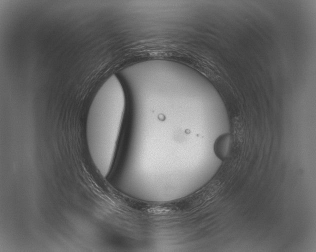 X0000054430650200507290953